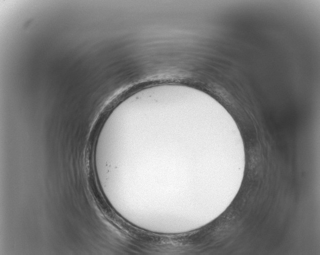 X0000054400632200508051714