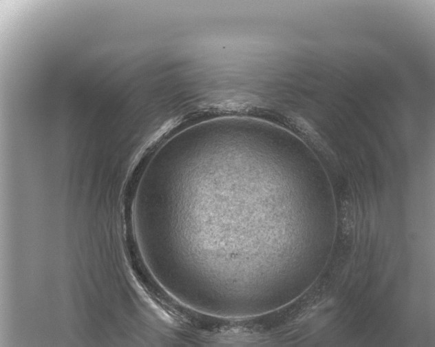 X0000054400634200508051714