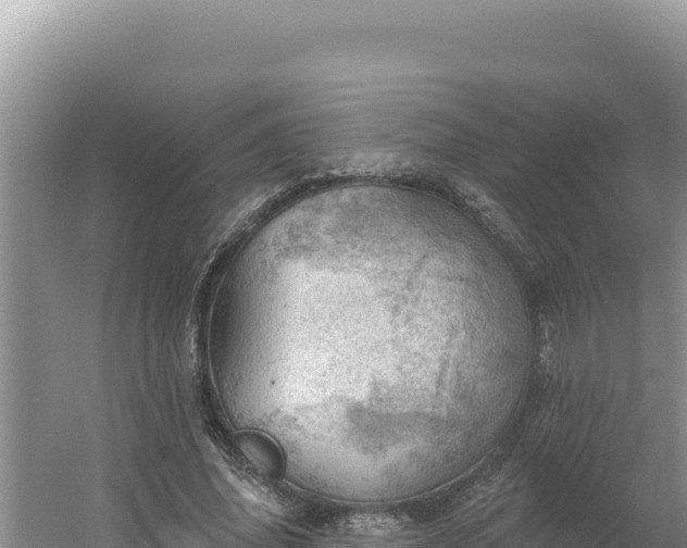 X0000054400636200508051714