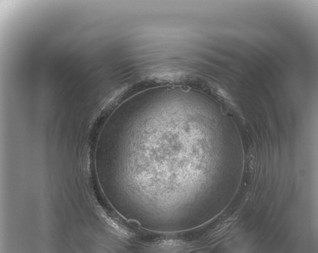 X0000054400637200508051714