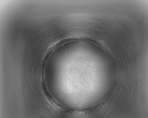 X0000054400640200508051714