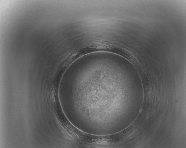 X0000054400643200508051714