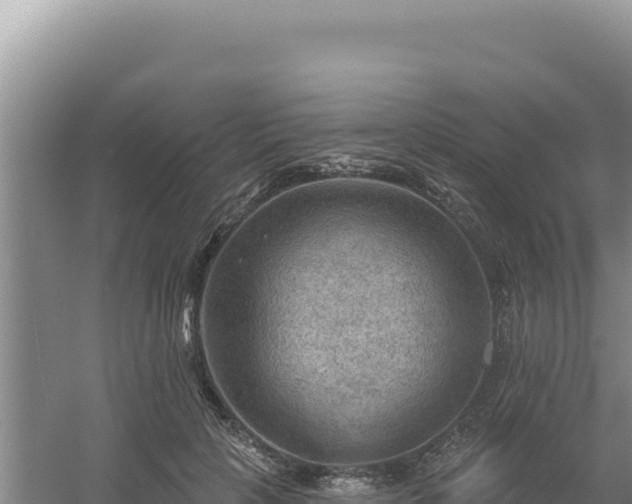 X0000054400649200508051715