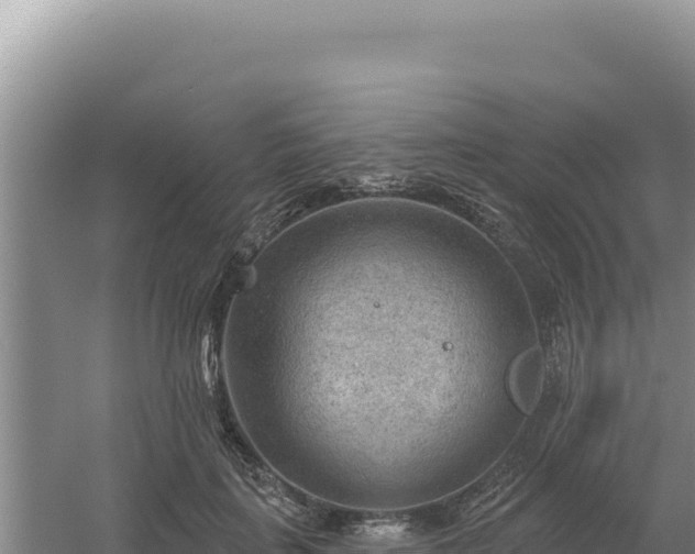 X0000054400651200508051715