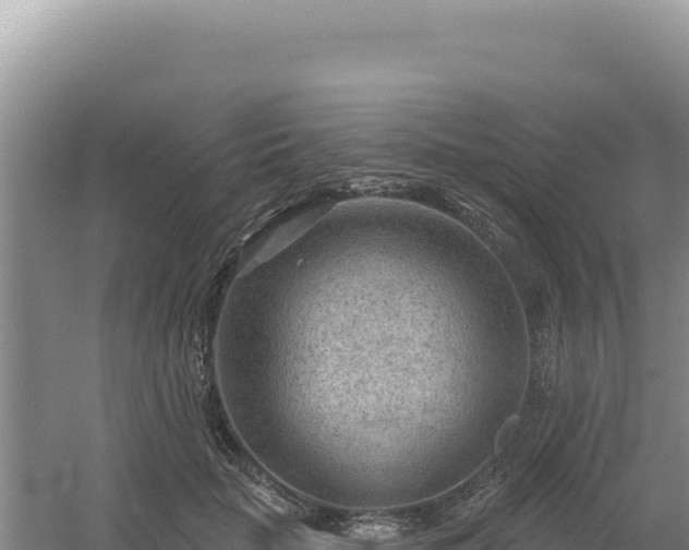 X0000054400653200508051715