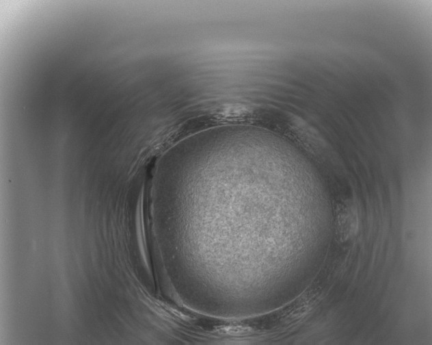 X0000054400654200508051715