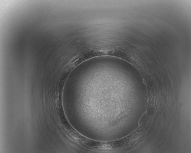 X0000054400656200508051715