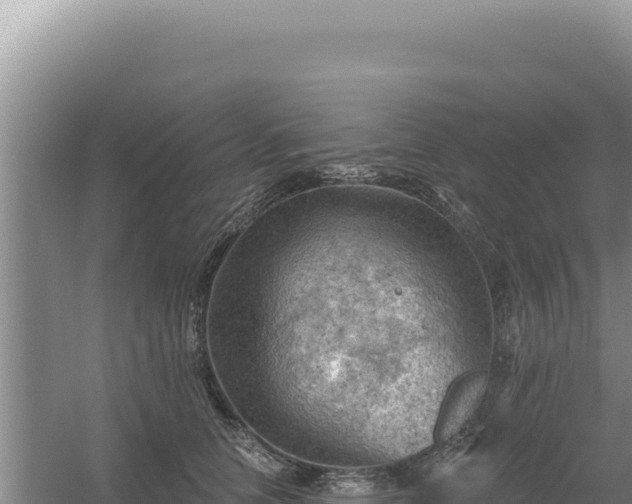 X0000054400658200508051715