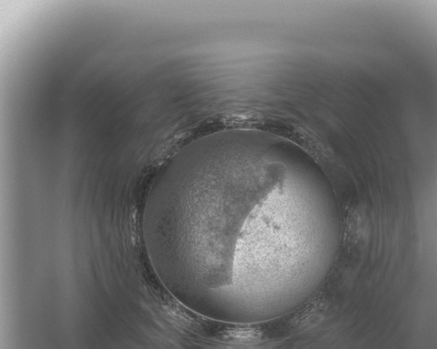 X0000054400659200508051715