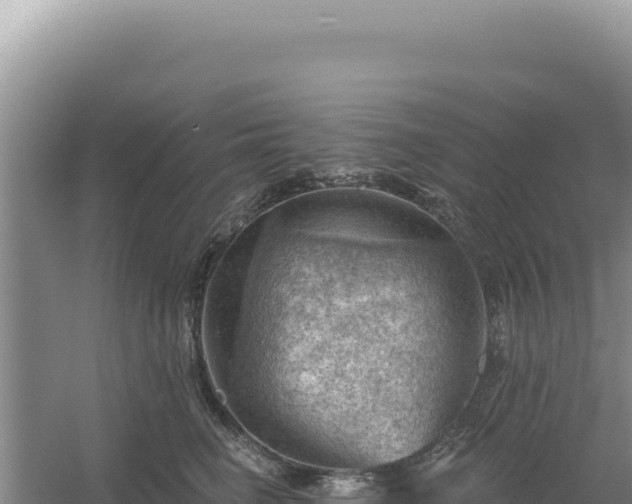 X0000054400662200508051715