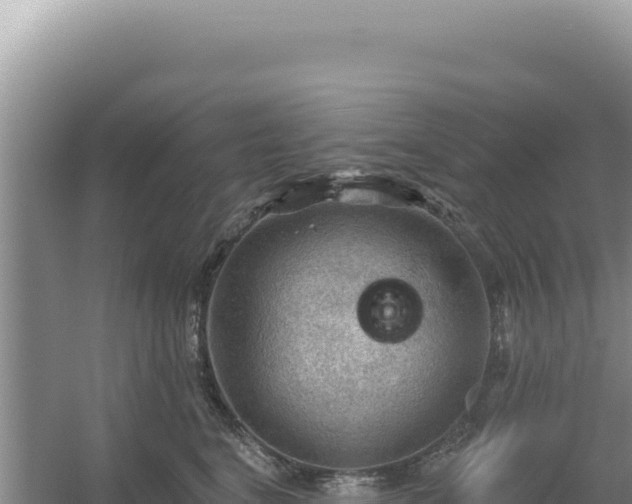 X0000054400664200508051715