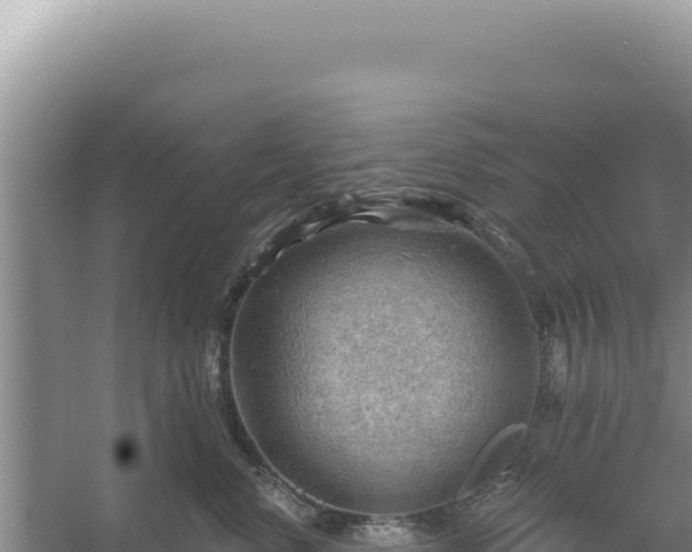 X0000054400668200508051715