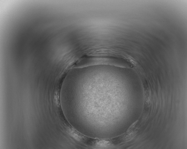 X0000054400669200508051715