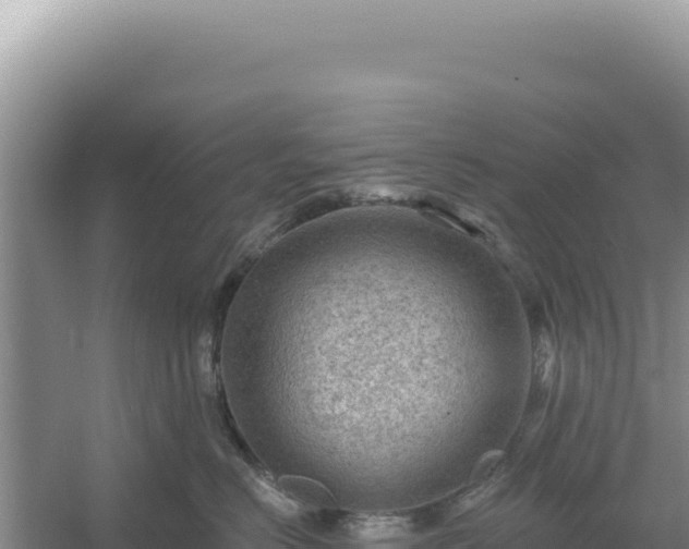 X0000054400670200508051715