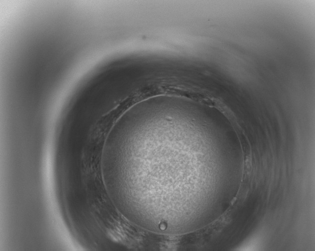 X0000054400671200508051715