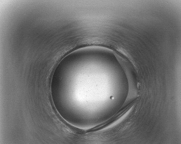 X0000054400673200508051714