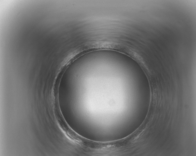 X0000054400674200508051714