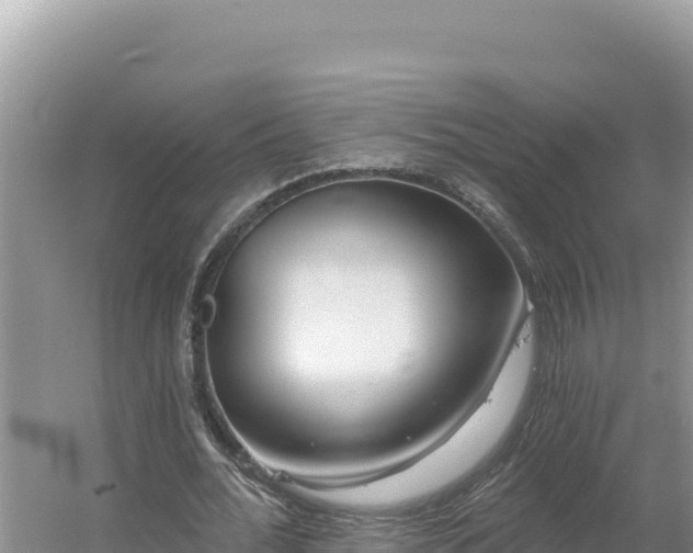 X0000054400676200508051714