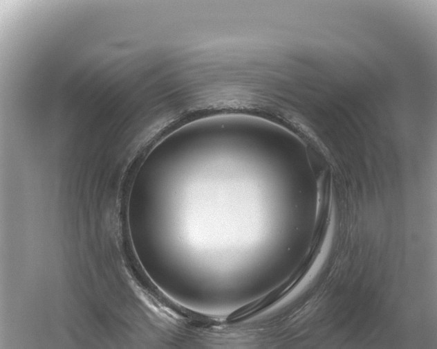 X0000054400677200508051714