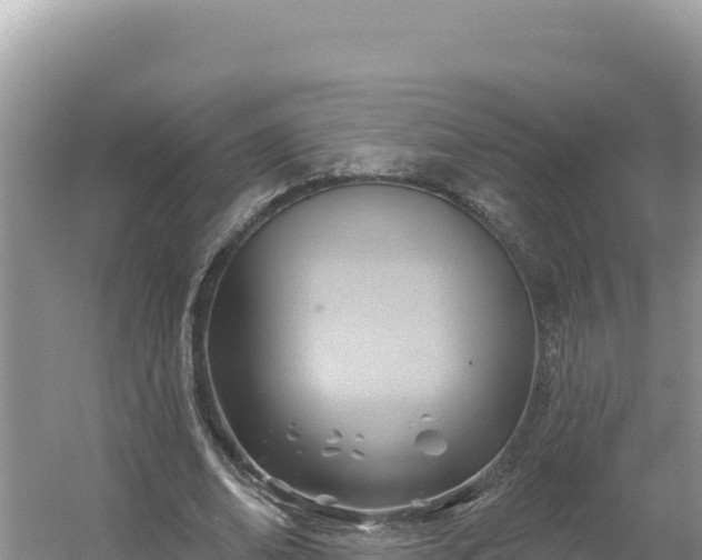 X0000054400678200508051714