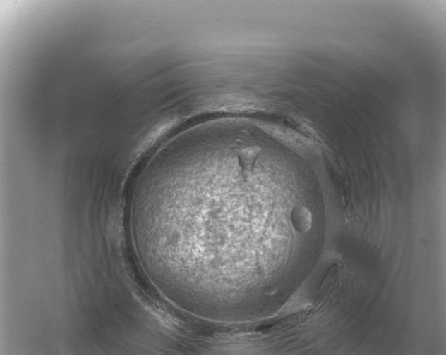 X0000054400679200508051714