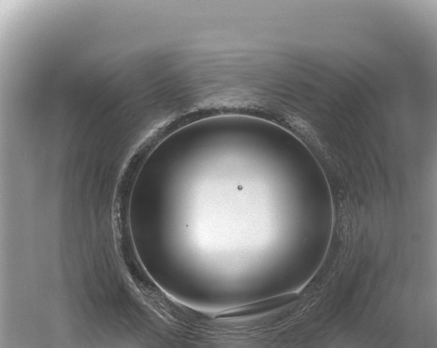 X0000054400680200508051714