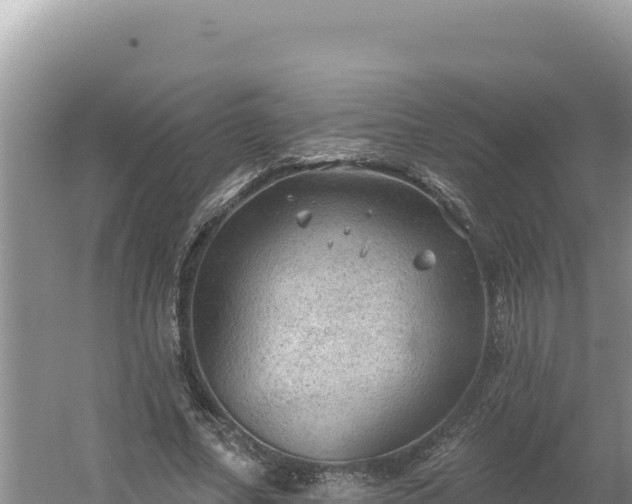 X0000054400682200508051714