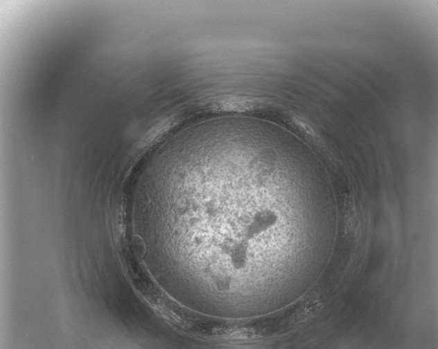 X0000054400683200508051714