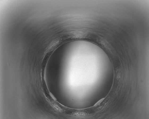 X0000054400685200508051714