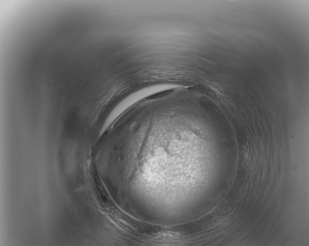 X0000054400691200508051714