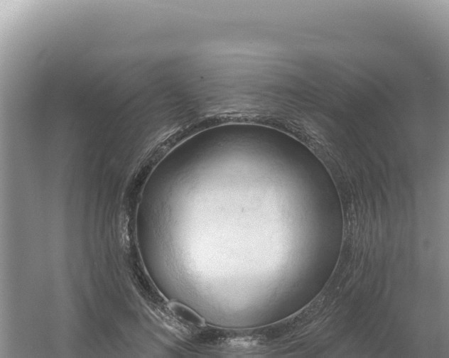 X0000054400692200508051714