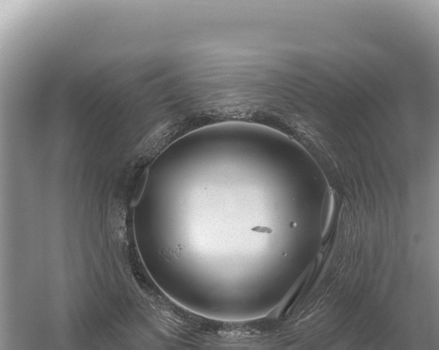 X0000054400693200508051714