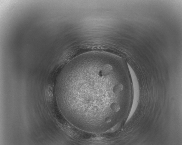 X0000054400695200508051714