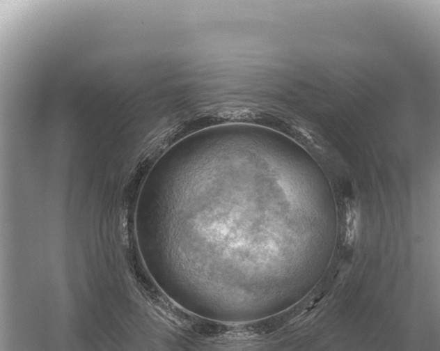 X0000054400696200508051714