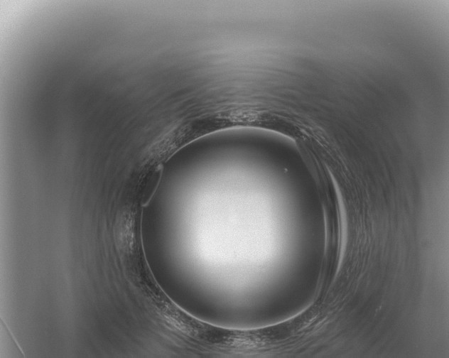 X0000054400697200508051714