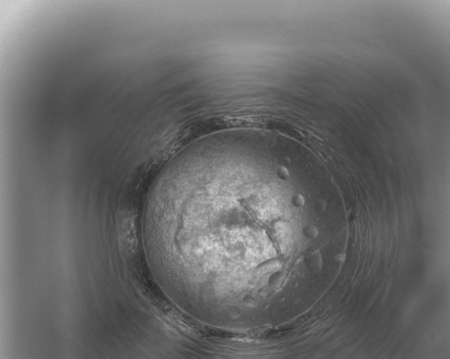 X0000054400699200508051714