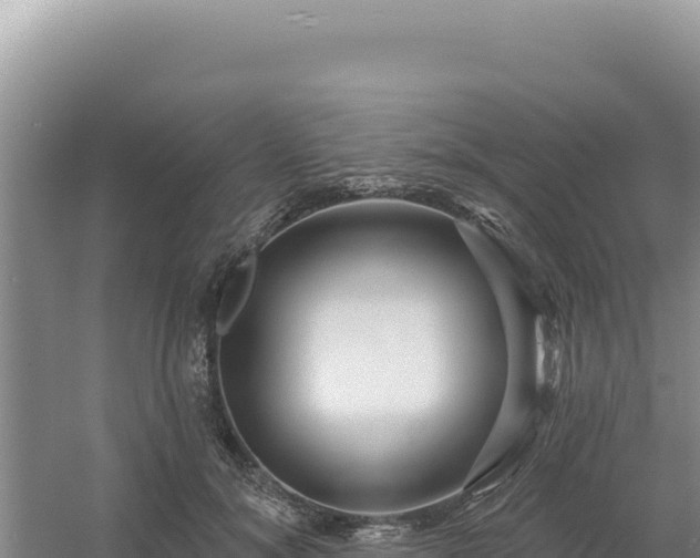 X0000054400700200508051714