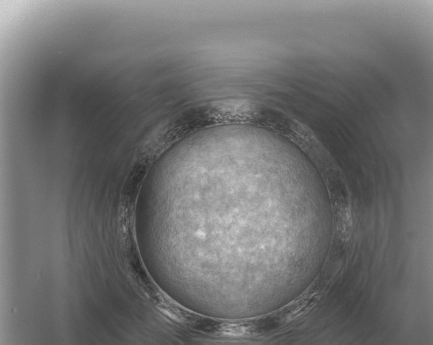 X0000054400701200508051714