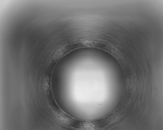 X0000054400702200508051714