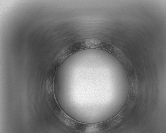 X0000054400705200508051714