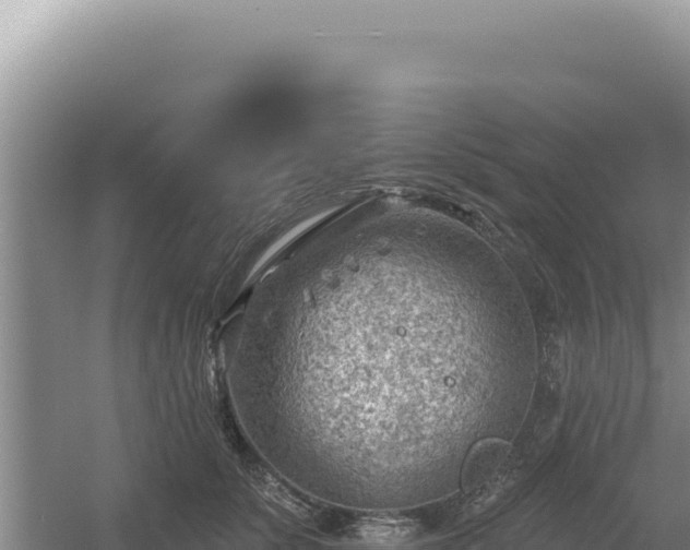 X0000054400707200508051714