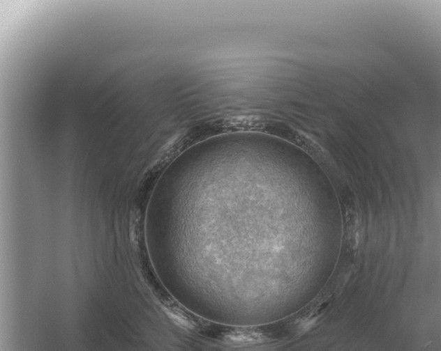 X0000054400712200508051713