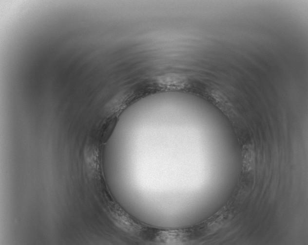 X0000054400713200508051713