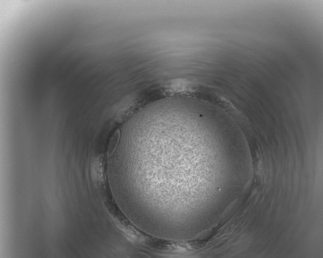 X0000054400715200508051713