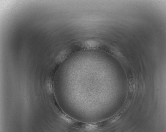 X0000054400718200508051713