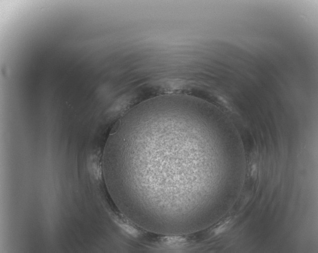 X0000054400719200508051713