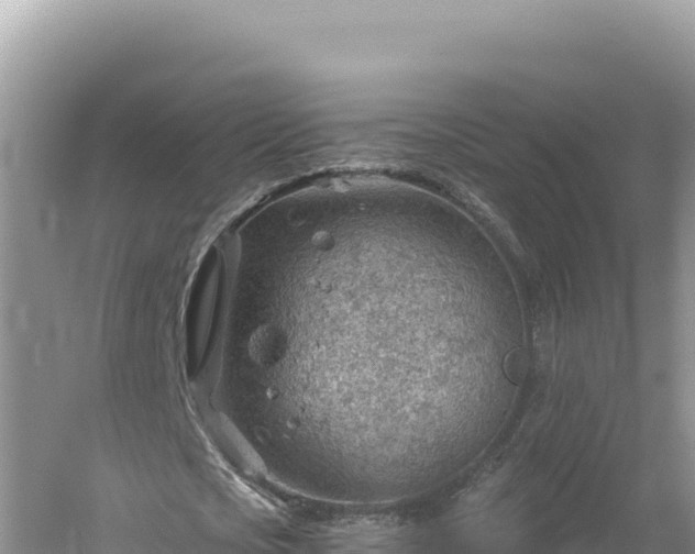 X0000054400721200508051713