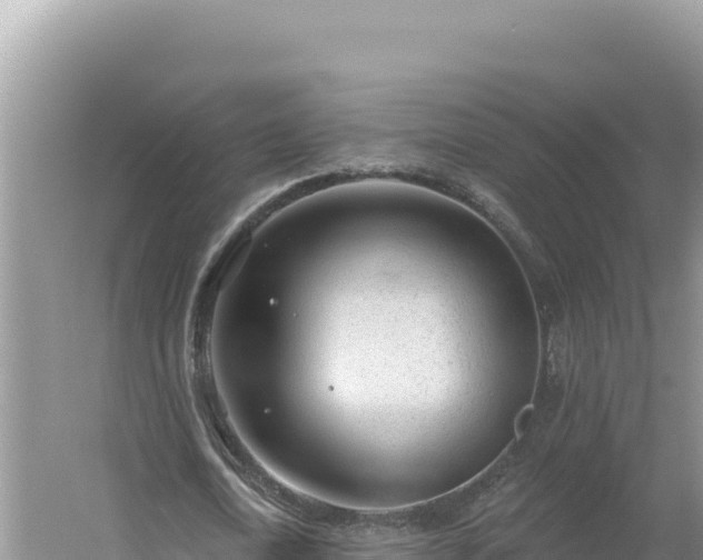 X0000054400722200508051713