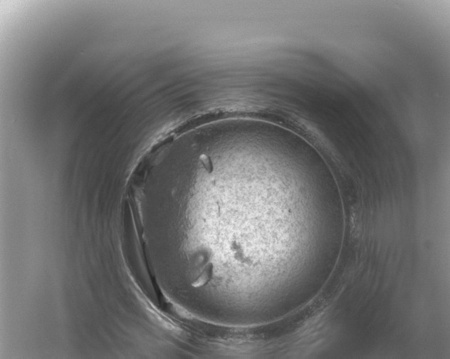 X0000054400725200508051713