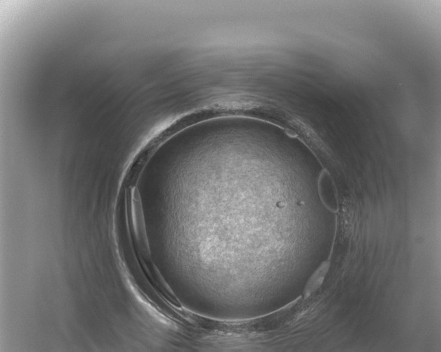 X0000054400726200508051713